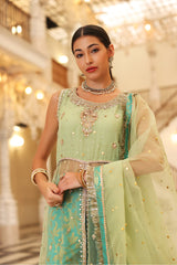 LAMI ORGANZA DRESS