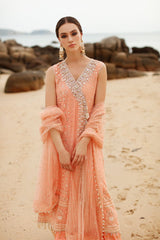 Peach Chikankari Chamak