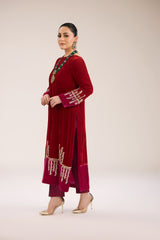 ELEGANT VELVET DRESS