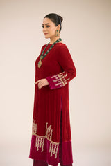 ELEGANT VELVET DRESS